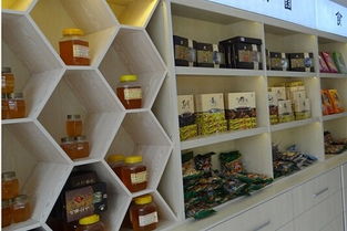 東莞特產展柜設計廠網站設計 融合地域特色與現代展示技術